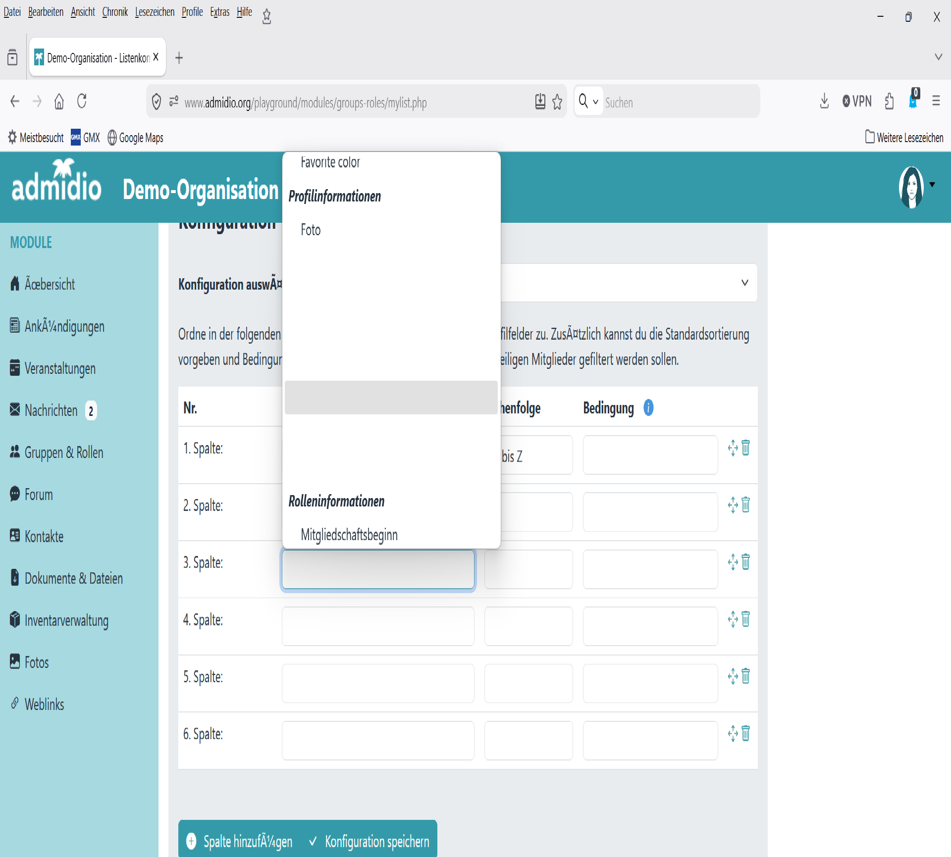 Demo-Organisation - Problem Listenkonfiguration.png
